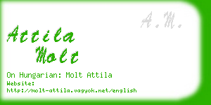 attila molt business card